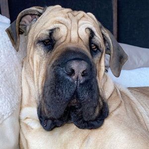 Meet your Posher, Jacklyn